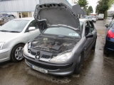 PEUGEOT 206 LX 1.1 2001 WINGS FRONT RIGHT  2001PEUGEOT 206 LX 1.1 2001 WINGS FRONT RIGHT       Used