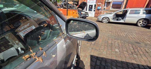 SAAB 9-3 CAB CONVERTIBLE RH UK O/S DRIVERS STANDARD DOOR MIRROR 279 STEEL GREY SAAB 9-3 LINEAR T E3 4 DOHC DOOR MIRROR - ELECTRIC (DRIVER SIDE) 2003-2015 2003,2004,2005,2006,2007,2008,2009,2010,2011,2012,2013,2014,2015SAAB 9-3 CAB CONVERTIBLE RH UK O/S DRIVERS STANDARD DOOR MIRROR 279 STEEL GREY GOOD