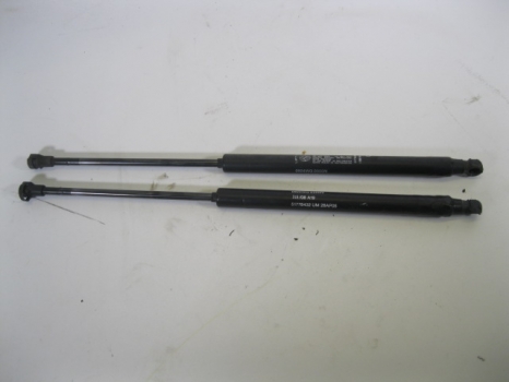 FIAT GRANDE PUNTO 3 DOOR HATCHBACK 2006-2010 TAILGATE STRUTS (PAIR)