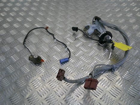 ROVER 400/414/416 1995-2000 IGNITION BARREL AND KEY WITH DOOR LOCK