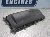 CITROEN DS4 2.0 HDI INJECTOR COVER 9683668480 2010-2015 2010,2011,2012,2013,2014,20152014 CITROEN DS4 2.0 HDI DIESEL INJECTION INJECTOR COVER 9683668480 9683668480     USED