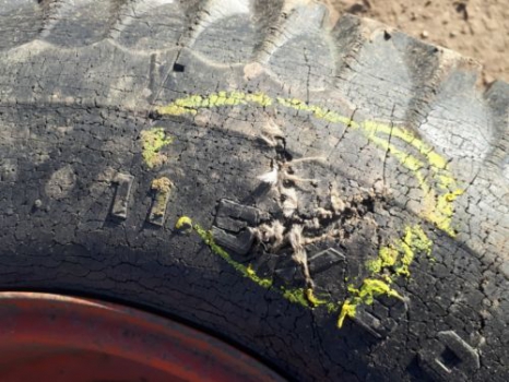 Westlake Plough Parts – Tractor  implement  trailer  wheel rim  11.5x15  used tatty split tyre  hard