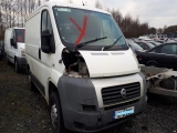 FIAT DUCATO OTHER 30 SWB 2.2 100 MULTI LITRE MULTIJET 2007 BREAKING FOR SPARES  2007      Used