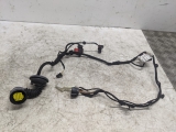 ALFA ROMEO MITO LUSSO TB MK1 955 2009-2010 DOOR WIRING LOOM (O/S FRONT DRIVER)  2009,2010ALFA ROMEO MITO LUSSO TB MK1 955 2009-2010 DOOR WIRING LOOM (O/S FRONT DRIVER)      GRADE B