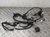 RENAULT Trafic Sl27 Mk3 2014-2019 DOOR WIRING LOOM (N/S FRONT PASSENGER)  2014,2015,2016,2017,2018,2019Renault Trafic Sl27 Mk3 2014-2019 Door Wiring Loom (n/s Front Passenger)       GRADE B