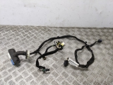 Citroen Ds4 Hdi Dstyle Mk1 2011-2015 DOOR WIRING LOOM (N/S FRONT PASSENGER)  2011,2012,2013,2014,2015Citroen Ds4 Hdi Dstyle Mk1 2011-2015 Door Wiring Loom (n/s Front Passenger)       GRADE B