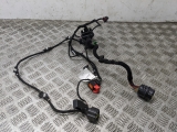 Alfa Romeo Giulietta Jtdm Mk3 2010-2020 DOOR WIRING LOOM (N/S FRONT PASSENGER)  2010,2011,2012,2013,2014,2015,2016,2017,2018,2019,2020Alfa Romeo Giulietta Jtdm Mk3 2010-2020 Door Wiring Loom (n/s Front Passenger)       GRADE B