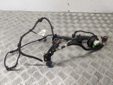 Citroen Ds3 Dstyle Mk1 2010-2015 DOOR WIRING LOOM (O/S FRONT DRIVER)  2010,2011,2012,2013,2014,2015Citroen Ds3 Dstyle Mk1 2010-2015 Door Wiring Loom (o/s Front Driver)       GRADE B