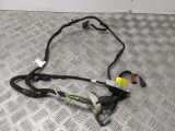 Peugeot Partner Hdi Mk2 2014 DOOR WIRING LOOM (N/S FRONT PASSENGER)  2014Peugeot Partner Hdi Mk2 2014 Door Wiring Loom (n/s Front Passenger)       GRADE B