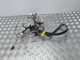 LEXUS IS 220D 2005-2012 DOOR WIRING LOOM (N/S/F) 8215253210f-2 2005,2006,2007,2008,2009,2010,2011,2012LEXUS IS 220D 2007 DOOR WIRING LOOM (FRONT PASSENGERS SIDE) 8215253210f-2 8215253210f-2     GOOD