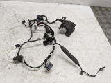 SKODA SUPERB S TDI MK2 2008-2010 DOOR WIRING LOOM (O/S REAR DRIVER)  2008,2009,2010SKODA SUPERB S TDI MK2 2008-2010 DOOR WIRING LOOM (O/S REAR DRIVER)       GRADE B