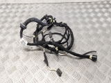 VAUXHALL Insignia Es E5 2008-2017 TAILGATE WIRING LOOM 20986012 2008,2009,2010,2011,2012,2013,2014,2015,2016,2017VAUXHALL Insignia Es E5 2013 TAILGATE WIRING LOOM  20986012 20986012     GRADE A