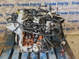 2021 Ford Focus Mk4 St Line Engine + Turbo Petrol AGATE BLACK B7DC 2018,2019,2020,2021,2022,20232021 FORD FOCUS MK4 ST LINE ENGINE + TURBO PETROL  B7DC   1.0 L B7DC     GOOD