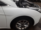 2015-2019 Hyundai I40 Mk1 Fl Saloon 4 Door WING (DRIVER SIDE) Pure White  2015,2016,2017,2018,201915-19 Hyundai I40 Mk1 FL  4 Door WING (DRIVER SIDE) Pure White  CLEAN WING AS IN IMAGES SUPPLIED WITH WING TO BUMPER BRACKET    GOOD
