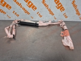 2021-2024 FORD KUGA MK3 CURTAIN ROOF AIR BAG PASSENGER NEAR SIDE LEFT 2021-2024 FORD KUGA MK3 CURTAIN ROOF AIR BAG PASSENGER NEAR SIDE LEFT LJ6T-18B955-FE LJ6T18B955FE 2021,2022,2023,20242021-2024 FORD KUGA MK3 CURTAIN ROOF AIR BAG PASSENGER NEAR SIDE LEFT LJ6T-18B955-FE LJ6T18B955FE Used