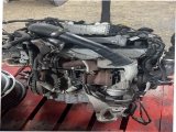 2019-2024 VW TRANSPORTER T6.1 DIESEL ENGINE COMPLETE WITH TURBO CXHC CXH 2019,2020,2021,2022,2023,20242019-2024 VW TRANSPORTER T6.1 2.0 TDI DIESEL ENGINE COMPLETE WITH TURBO CXHC CXH CXHC CXH     Used
