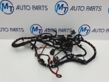 Bmw F30 335d Xdrive M Sport Shadow Edition A 2013-2018 Front Interior Wiring Loom 2013,2014,2015,2016,2017,2018BMW 3 SERIES F30 COMPLETE FRONT INTERIOR WIRING LOOM 8794037      GOOD