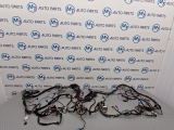 Bmw M6 6 Series E5 8 Dohc 2012-2017 Harman Kardon Wiring Loom Harness 2012,2013,2014,2015,2016,2017BMW 6 SERIES M6 HARMAN KARDON WIRING LOOM HARNESS      Used