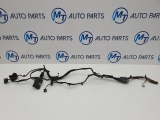 Bmw M5 5 Series E5 8 Dohc 2011-2016 WIRING LOOM FRONT LEFT 2011,2012,2013,2014,2015,2016BMW 5 SERIES M5 ENGINE BAY WIRING LOOM LEFT SIDE F10      GOOD