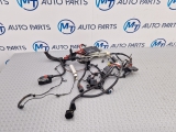 BMW 2 SERIES WIRING LOOM FRONT LEFT PASSENGER SIDE 9833163 F44 Bmw 220 2 Seriesd M Sport Gran Coupe E6 4 Dohc 2020 WIRING LOOM FRONT LEFT 2020BMW 2 SERIES WIRING LOOM FRONT LEFT PASSENGER SIDE 9833163 F44 9833163 GOOD