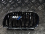 BMW X3 Mk1 E83 05-08 Grill Kidney Driver Front  2005,2006,2007,2008Bmw X3 Mk1 E83 05-08 Grill Kidney Front       GOOD