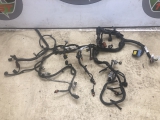 Nissan X-trail 2008-2013 Engine Wiring Loom 2008,2009,2010,2011,2012,20132009 Nissan Qashqai 2.0l M9R832  Engine Wiring Loom P/N 24011JD01B2008-2013 24011JD01B 2783     GOOD