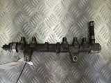 PEUGEOT BIPPER NEMO 2008-2016 FUEL INJECTOR RAIL (DIESEL) 2008,2009,2010,2011,2012,2013,2014,2015,2016PEUGEOT BIPPER NEMO 2008-2016 1.3 FUEL INJECTOR RAIL (DIESEL) 0445214239 0445214239     Used