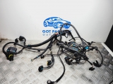 BMW F80 M3 3 SERIES S55 2017 ENGINE WIRING LOOM 7854404 2016,2017,2018BMW F80 M3 3 SERIES S55 2017 ENGINE WIRING LOOM HARNESS 7854404 7854404     Used