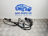 BMW 3 SERIES 320D F30 F82 2013 DOOR WIRING LOOM 9286250 2011,2012,2013,2014,2015,2016BMW 3 SERIES 320D F30 F82 2013 DOOR WIRING LOOM 9286250 9286250     Used