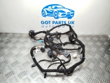 JAGUAR XF V6 X250 2010 DOOR WIRING LOOM 9X2314A205HC 2009,2010,2011,2012,2013,2014,2015JAGUAR XF V6 X250 2010 DOOR WIRING LOOM FRONT LEFT PASSENGER 9X2314A205HC 9X2314A205HC     Used