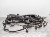 MERCEDES E300 E-CLASS 2.2 2015 ENGINE WIRING LOOM A6510102719 2011,2012,2013,2014,2015,2016MERCEDES E300 E-CLASS 2.2 2015 ENGINE WIRING LOOM A6510102719 A6510102719     Used