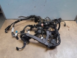 Toyota Rav4 Xa50 2019-2024 Engine Installation Wiring Loom 2019,2020,2021,2022,2023,2024TOYOTA RAV4 XA50 2.5L 2019-2024 ENGINE INSTALLATION WIRING LOOM 8212142N70 8212142N70     GOOD