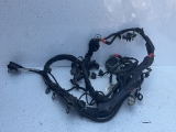 * FORD FIESTA MK8 2019-2025 ENGINE WIRING LOOM HARNESS 2019,2020,2021,2022,2023,2024,2025* FORD FIESTA MK8 2019-2025 1.1 PETROL ENGINE WIRING LOOM HARNESS L1BT12C508PBA L1BT12C508PBA     USED - PART GRADING A