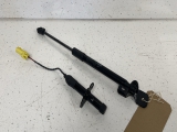 * Tesla Model 3 E6 Saloon 4 Doors 2020-2025 BONNET STRUTS/RAMS PAIR 1735702 1645989 2020,2021,2022,2023,2024,2025TESLA MODEL 3 E SALOON 4 DR 2024 LEFT BONNET STRUT 1735702 1645989     USED - PART GRADING A