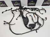 MAZDA MX-5 ICON 2016 MAZDA MX5 MIATA MK4 ND 15-24 ENGINE BAY COILPACK WIRING HARNESS LOOM N24367020D 2016MAZDA MX5 MIATA MK4 ND 15-24 ENGINE BAY COILPACK WIRING HARNESS LOOM N24367020D N24367020D     Used